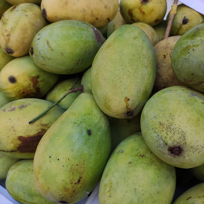 Xoài cát Hoà Lộc loại 2